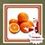 Muda de Laranja Natal Enxertada – Suculenta, Doce e de Alta Produção - Imagem 1
