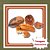Muda De Noz Pecan – Frutos Nutritivos e Árvore Imponente - Imagem 1
