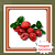 Muda de Ameixa de Natal – Frutífera Ornamental, Doce e Resistente - Imagem 1