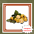 Muda de Araçá Amarelo - Psidium cattleianum var. lucidum Frutífera Nativa - Imagem 1