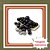 Planta de Jabuticaba Híbrida G – Ideal para Vaso - Imagem 1