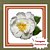 Muda de Camélia Japônica Branca – Elegância e Flores Delicadas - Imagem 1