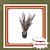 Muda de Formio Verde – Planta Ornamental Moderna para Jardins - Imagem 1