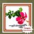 Muda de Hibisco Pink – Florada Vibrante e Tropical - Imagem 1