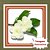 Muda de Jasmim Gardênia Cheiroso – Flores Perfumadas e Encantadoras - Imagem 1
