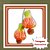 Muda de Lanterna Chinesa – Planta Ornamental com Frutos Decorativos - Imagem 1