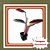 Muda de Philodendron Triostar Folhagem Colorida Ornamental - Imagem 1