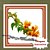 Muda de Primavera Amarela – Bougainvillea Rara e Florífera - Imagem 1