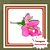 Muda de Primavera Rosa – Florada Intensa e Efeito Ornamental - Imagem 1