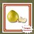 Muda de Laranja Pomelo Enxertada – Sabor Marcante, Frutos Suculentos e Alta Qualidade - Imagem 1