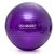 Bola Para Pilates Yoga 55cm Cor Roxo - Maxboost - Imagem 1
