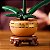 MINI ORQUIDEA - LEGO - Imagem 5