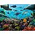 QUEBRA-CABEÇA 1000 PC CRIATURAS MARINHAS -  TOYSTER - Imagem 2