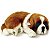 FILHOTE CACHORRO SAO BERNARDO PERFECT PETZZZ - IMEX - Imagem 1