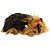 FILHOTE CACHORRO YORKSHIRE PERFECT PETZZZ - IMEX - Imagem 1