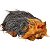 FILHOTE CACHORRO YORKSHIRE PERFECT PETZZZ - IMEX - Imagem 3