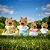 CASINHA FELIZ FAMILIA CAPIVARA - ZOOP TOYS - Imagem 5