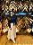 Saia Marfim - Imagem 1