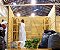 Estande feira de negócios EcoWood de pinus sustentável para eventos e feiras de negócios - pavilhão 200x200 cm - Imagem 12