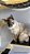 Gatil de parede - playground de parede para gatos super completo - Imagem 5