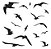 Adesivo Para Vidro Pássaros Brancos Anti Colisão Médio 16un - Imagem 5