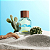 Perfume Green Cactus for Him United Dreams Benetton Eau de Toilette Masculino 100ml - Imagem 3