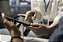 Sistema para Ordem de Serviço em Acari | Gestão de Atendimentos e Serviços | Raizys Web - Imagem 1