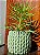 Cachepô Para Plantas Estilo Tricô - Imagem 1