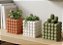 Cachepô Cubo Bolha Moderno Minimalista - Imagem 7