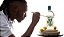 Gin Amarula African Gin 700ml - Imagem 4