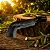 Mini Foice Forjada - Podão Mineiro - Imagem 1