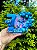 Topo de Bolo Cenário Stitch Personalizável - Imagem 1