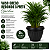 VASO GREGO REDONDO G PRETO GARDEN - 9L 23X29CM - Imagem 1