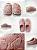 Pantufa Gasf Feminina Forrada Em Lã Conforto E Elegância - Imagem 2