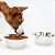 Kit 02 Tigelas Comedouro e Bebedouro Inox Pet Tigela Multi-Uso Para Comedouro Saladeiro Sobremesas - Imagem 7