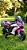 Moto Elétrica Infantil Ninja Esportiva Rosa Com Rodinhas Rosa-chiclete - Imagem 1