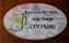 Placa Decorativa Cerveja - Imagem 2