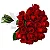 Buquê de Rosas - Imagem 1
