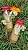 Limoncello - Imagem 1