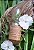 Repelente natural - Imagem 1