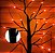 Árvore Seca LED Laranja 45 cm com 24 LEDs | Alimentação USB ou Pilhas | Decoração Halloween Premium | Delicare Home - Imagem 2
