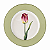 Prato Raso em Porcelana com Tulipa e Borda Verde – 27 cm - Imagem 1