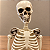 Esqueleto Articulado Decorativo Halloween 90 cm - Imagem 2