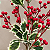 Galho Natalino com Berries Vermelhos e Folhas de Azevinho – 76 cm - Imagem 2