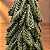 Árvore de Natal Decorativa Verde com Leve Brilho em Resina – 32 x 14 cm - Imagem 3