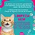 kit 2 Unid Areia Higiênica De Mandioca Para Gatos Wisecat Sensitive Grãos Finos - 4kg - Imagem 5