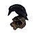 Corvo com Caveira - Imagem 1