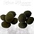 Fava Ossain - Imagem 1