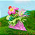 Diorama Palmon Digimon - Original Bandai - Imagem 2