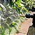 Pulverizador Manual Pressão 1 Lt Jardinagem Multiuso - Imagem 6